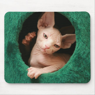 Sphynx Cat Mousepad | GoSphynx.com