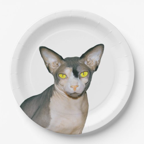 Sphynx Cat Ninja Rex Cats Cat Party white Paper Plates