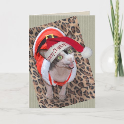 Sphynx Cat Ninja Santa Christmas Card