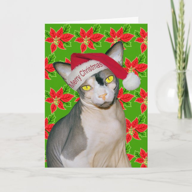 Sphynx Cat Ninja Santa Christmas Holi Green Card (Front)