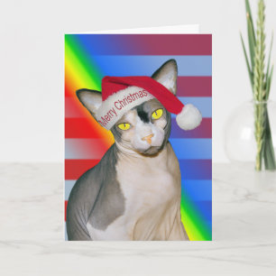 Sphynx Cat Ninja Santa Christmas Rainbow Card
