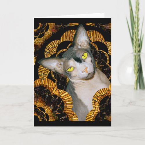Sphynx Cat Ninja Vintage Style Birthday Card