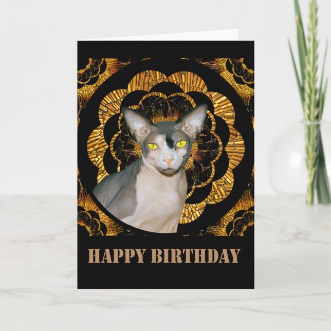 Sphynx Cat Ninja Vintage Style Black Gold Birthday Card (Front)