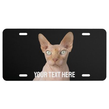 Sphynx Cat Photo Custom Text License Plate