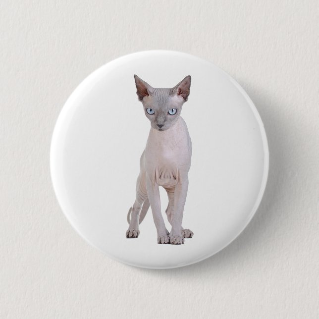 Sphynx cat pinback button (Front)