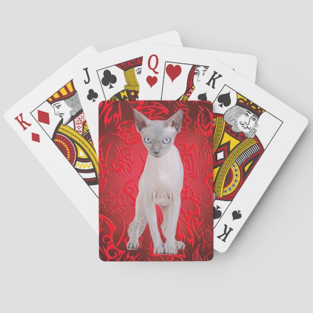 Sphynx cat poker cards (Back)