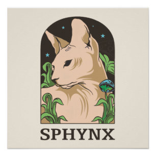  Sphynx Cat Portrait Hand Drawn  Poster
