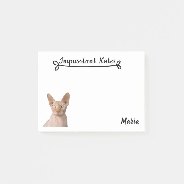 Sphynx Cat. Post-it Notes (Front)