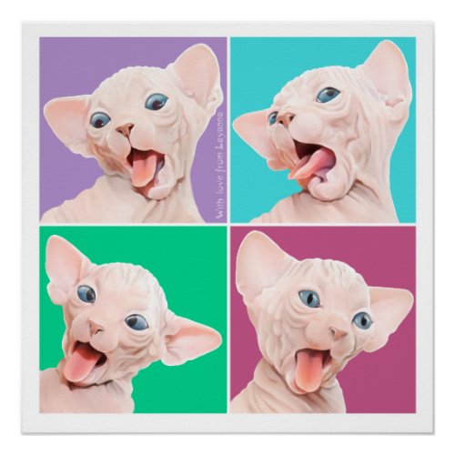 Sphynx cat poster