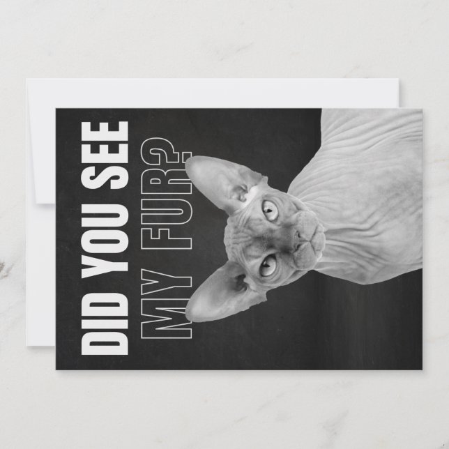 Sphynx Cat Sarcastic Fur Humor Illustration Holiday Card (Front)