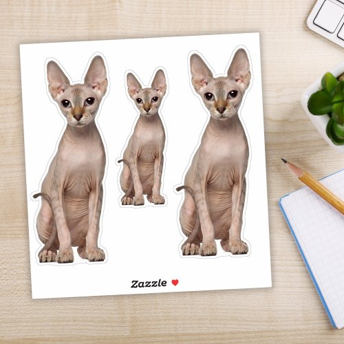 Sphynx Cat Stickers