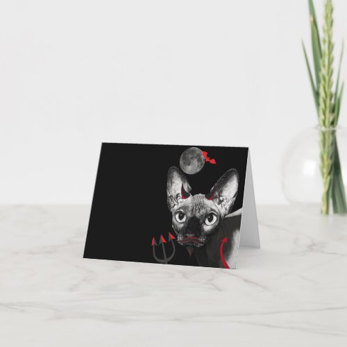 Sphynx Cat  Thank You Card