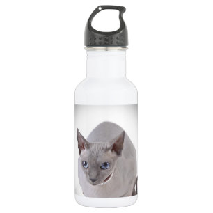 Sphynx cat water bottle