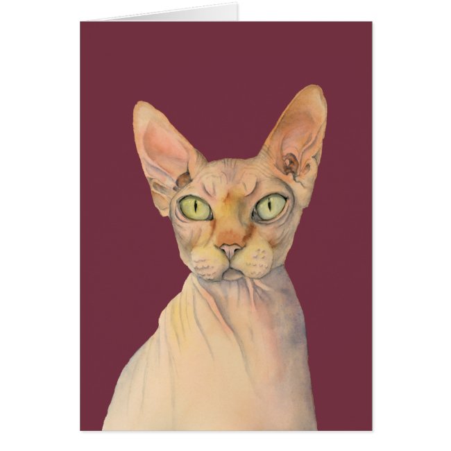 Sphynx Cat Watercolor Portrait