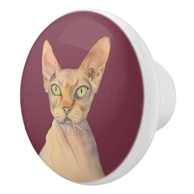 Sphynx Cat Watercolor Portrait
