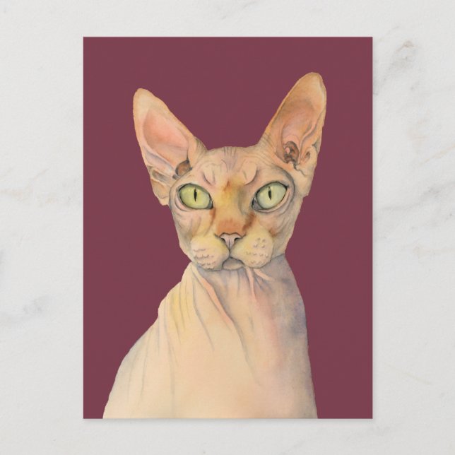 Sphynx Cat Watercolor Portrait Postcard (Front)