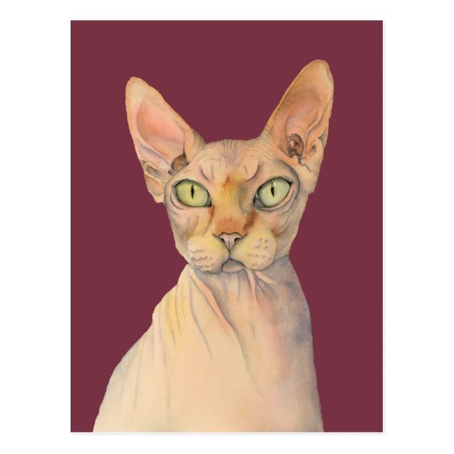 Sphynx Cat Watercolor Portrait