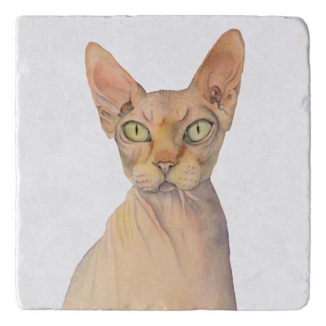 Sphynx Cat Watercolor Portrait Trivet