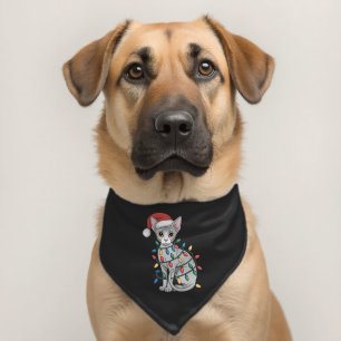 Sphynx Cat Wearing a Santa Hat and Wrapped in Xmas Pet Bandana Collar