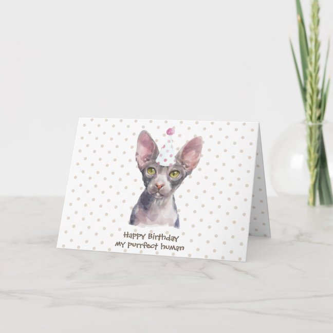Sphynx Cat with Party Hat Card