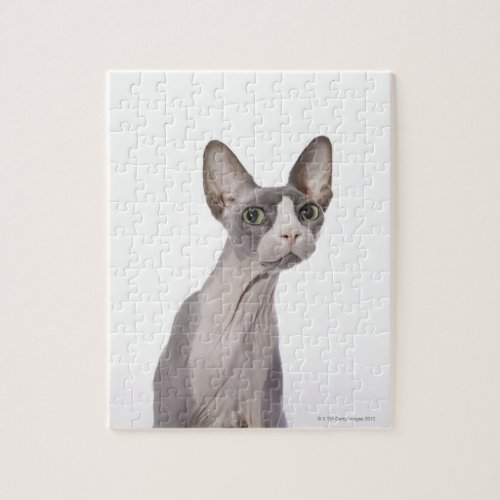 Sphynx Cat with surprised expression Jigsaw Puzzle