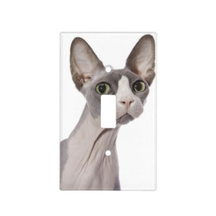 Sphynx Cat with surprised expression Light Switch Cover