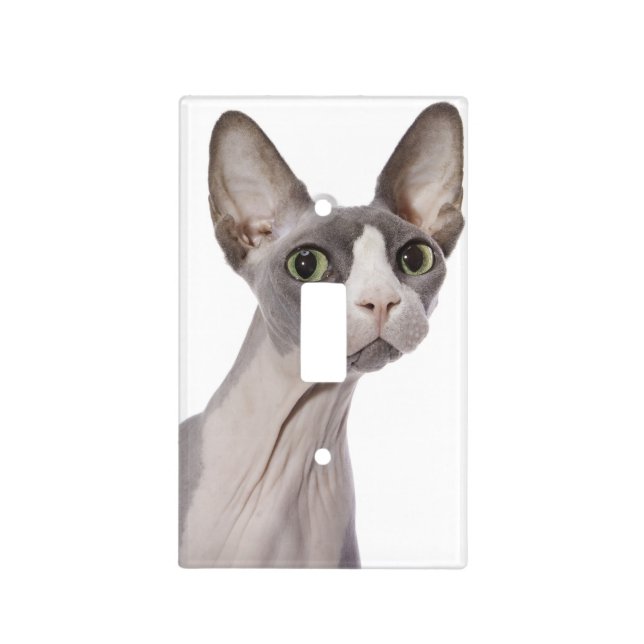 Sphynx Cat with surprised expression Light Switch Cover (Front)