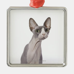 Sphynx Cat with surprised expression Metal Ornament