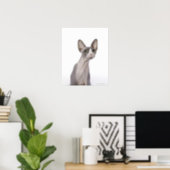 Sphynx Cat with surprised expression Poster (Home Office)