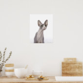 Sphynx Cat with surprised expression Poster (Kitchen)