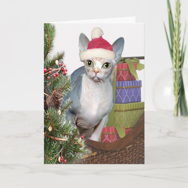 Sphynx Christmas Holiday Card (Front)