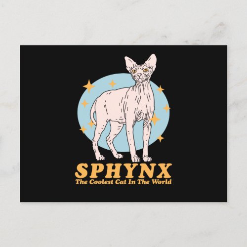 Sphynx Coolest Cat  Sphynx Cats Postcard