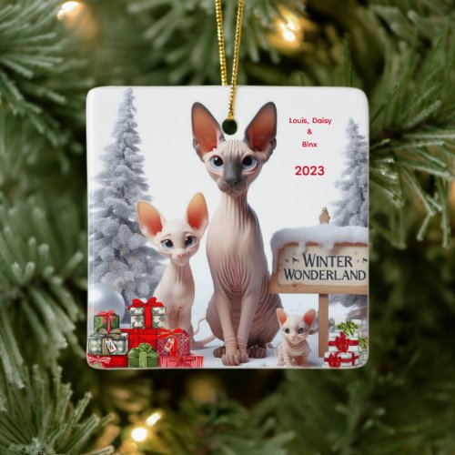 Sphynx Family Personalized Christmas Ornament
