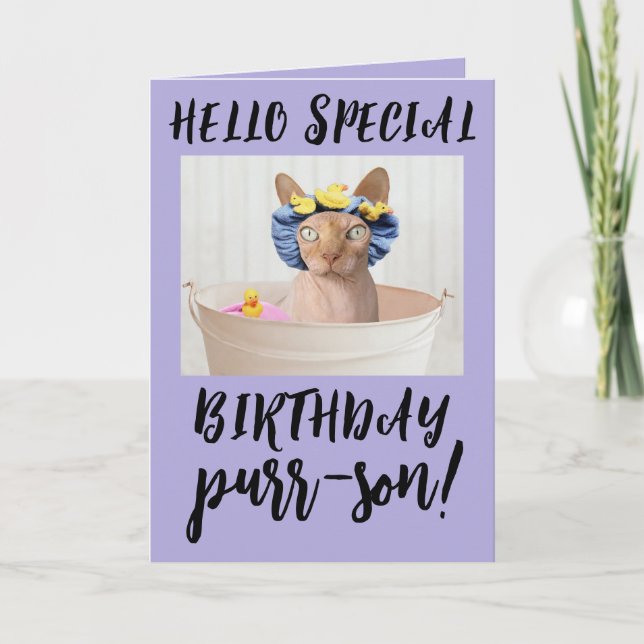 SPHYNX HAIRLESS CAT BIRTHDAY GREETING CARDS (Front)