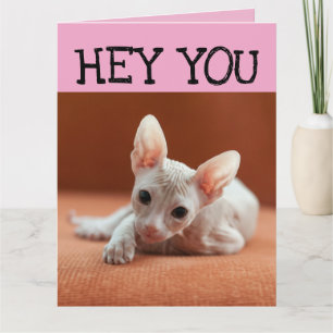 SPHYNX HAIRLESS CAT KITTEN BIRTHDAY GREETING CARD