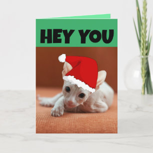 SPHYNX HAIRLESS CAT KITTEN CHRISTMAS CARD