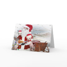 Sphynx  Kitten Christmas With Santa