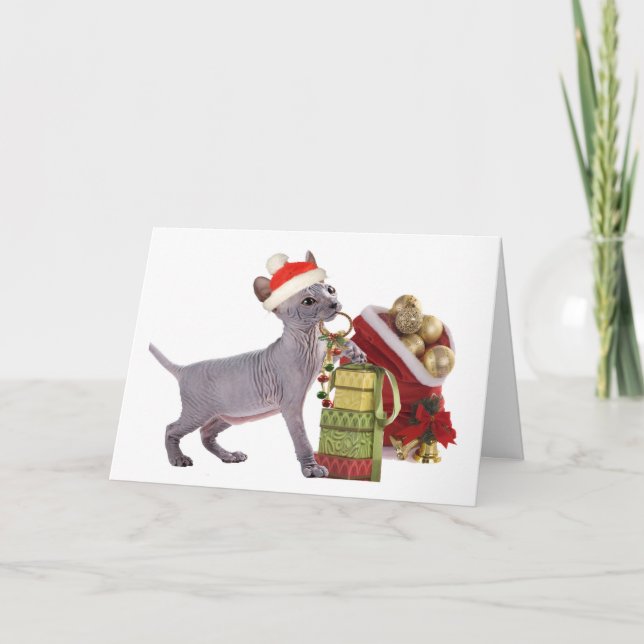 Sphynx Kitten ChristmasCards Holiday Card (Front)