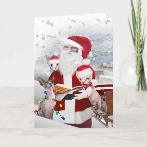 Sphynx Kittens A Look At Santas Book Holiday Card