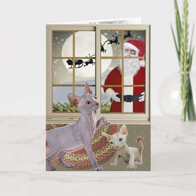 Sphynx Kitten's Believe In Santa Cards (Front)
