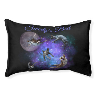 Sphynx Kittens Floating in Space Custom Name Pet Bed