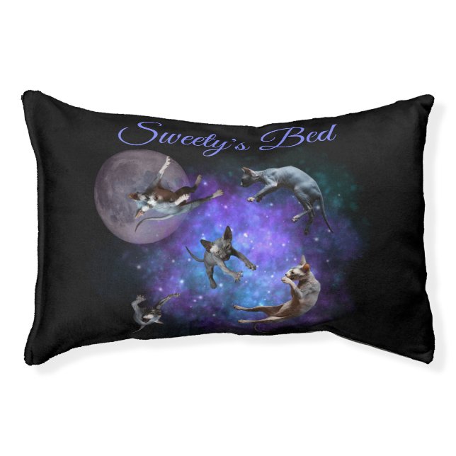 Sphynx Kittens Floating in Space Custom Name Pet Bed (Front)