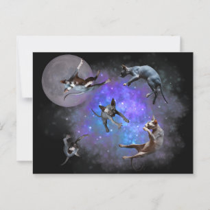 Sphynx Kittens Postcard Cats Floating Space Galaxy