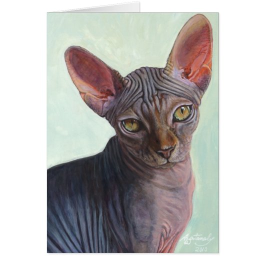 Sphynx Sphinx Cat Cats Sunitha Cards (Front)