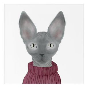 Sphynx Sphynx Acrylic Print
