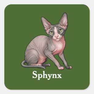 Sphynx Square Sticker