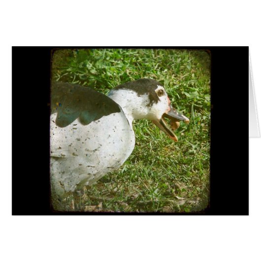 Spice Eats an Acorn (Front Horizontal)