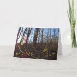 Spicebush Flowers in Spring Card