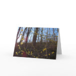 Spicebush Flowers in Spring Card