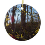 Spicebush Flowers in Spring Ceramic Ornament